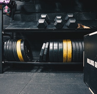 A gym setting featuring various fitness equipment, including kettlebells, stacked weight plates on a rack, dumbbells, and a medicine ball. The gym has a rugged, industrial vibe with black walls and a Bulldog Gear plyo box.